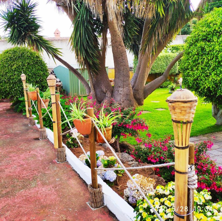 Finca El Trazo Tacoronte Exteriör bild
