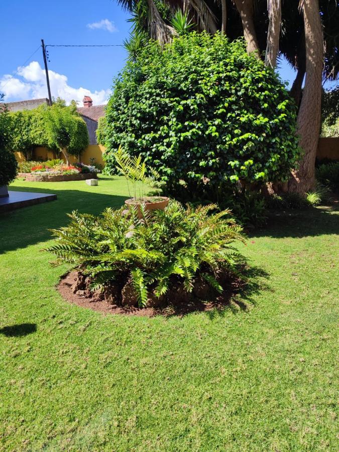 Finca El Trazo Tacoronte Exteriör bild