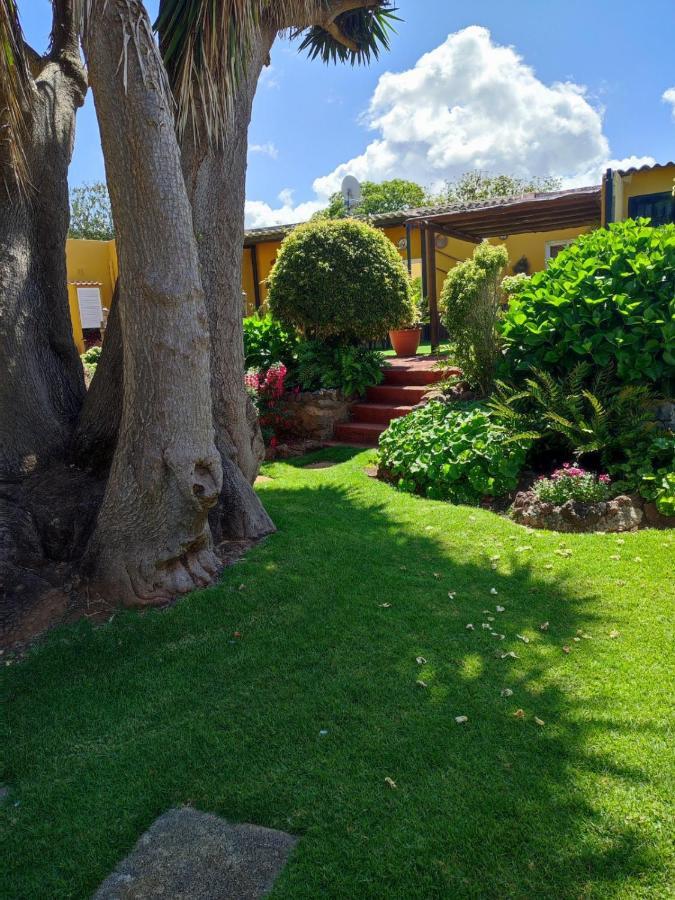 Finca El Trazo Tacoronte Exteriör bild